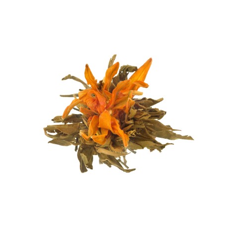 Pi Xing Dai Yue "Crown of the Night", 1 ks