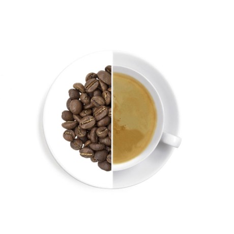 Colombia Supremo Medelin