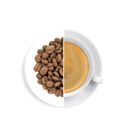 Costa Rica Palmichal Black Honey