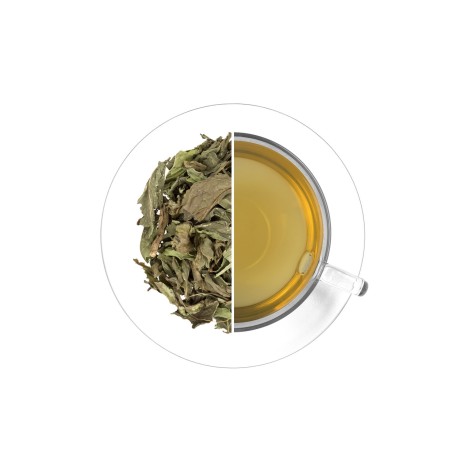 Spearmint (Nana Mint), 250 g