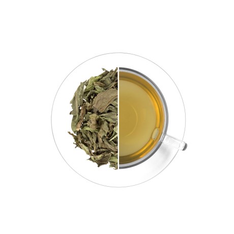 Spearmint (Nana Mint), 30 g