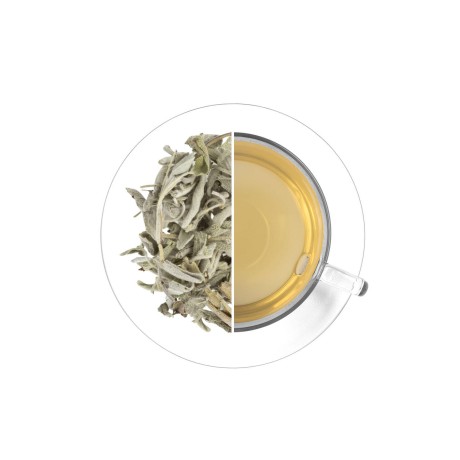 Sage, 20 g