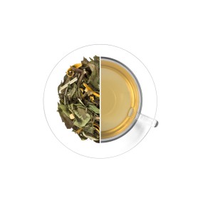 Citrus & Ginger Iced Tea, 1 kg