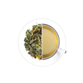 Serene Head 'KLASA', 500 g
