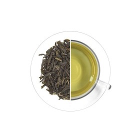 Fog Green, 40 g