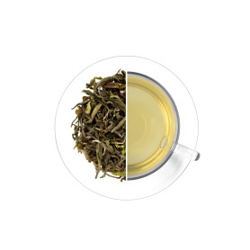 India Darjeeling Giddapahar FTGFOP1 - First Flush 2026, 50 g