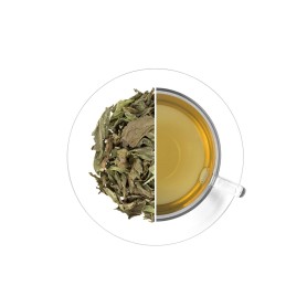 Spearmint (Nana Mint), 30 g