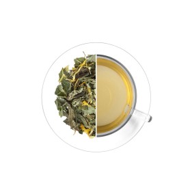 Serene Head 'KLASA', 40 g