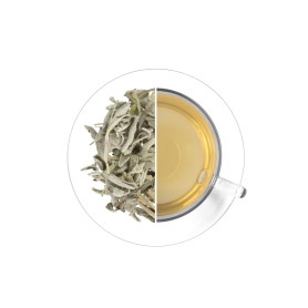 Sage, 20 g