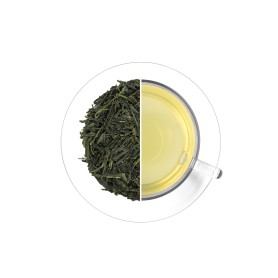 Organic Shincha - first flush 2026, 50 g